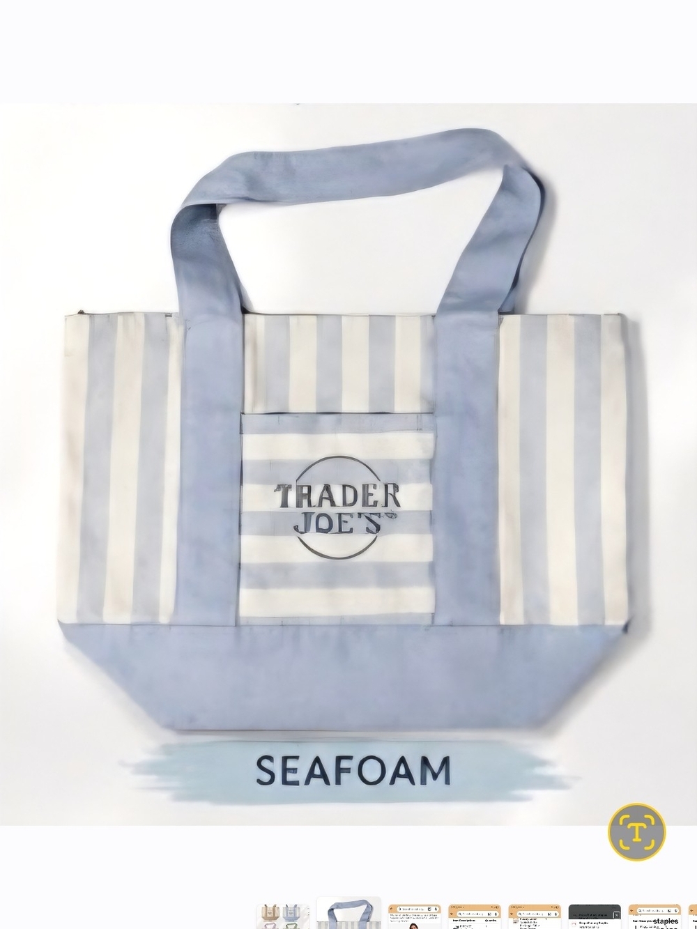 Trader Joe's Seafoam Striped Tote Bag
